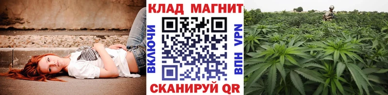 Что такое Жиздра Канабис  Псилоцибиновые грибы  Альфа ПВП  ГАШИШ  МЕФ 