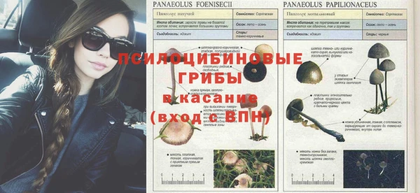 ALPHA-PVP Горно-Алтайск